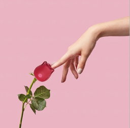 Rose Vibrator
