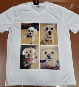 Tshirt (Dri-fit)