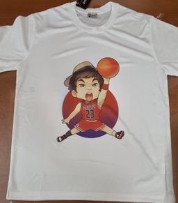 Tshirt (Dri-fit)