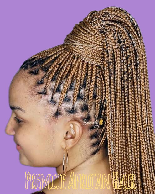 knotless Braid_1