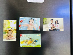 Ref Magnet