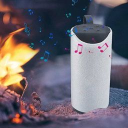 Harwa Portable Wireless Speaker with TF Card Functionality - White
