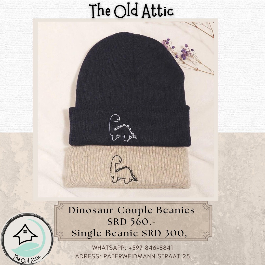 Dinosaur couple beanies