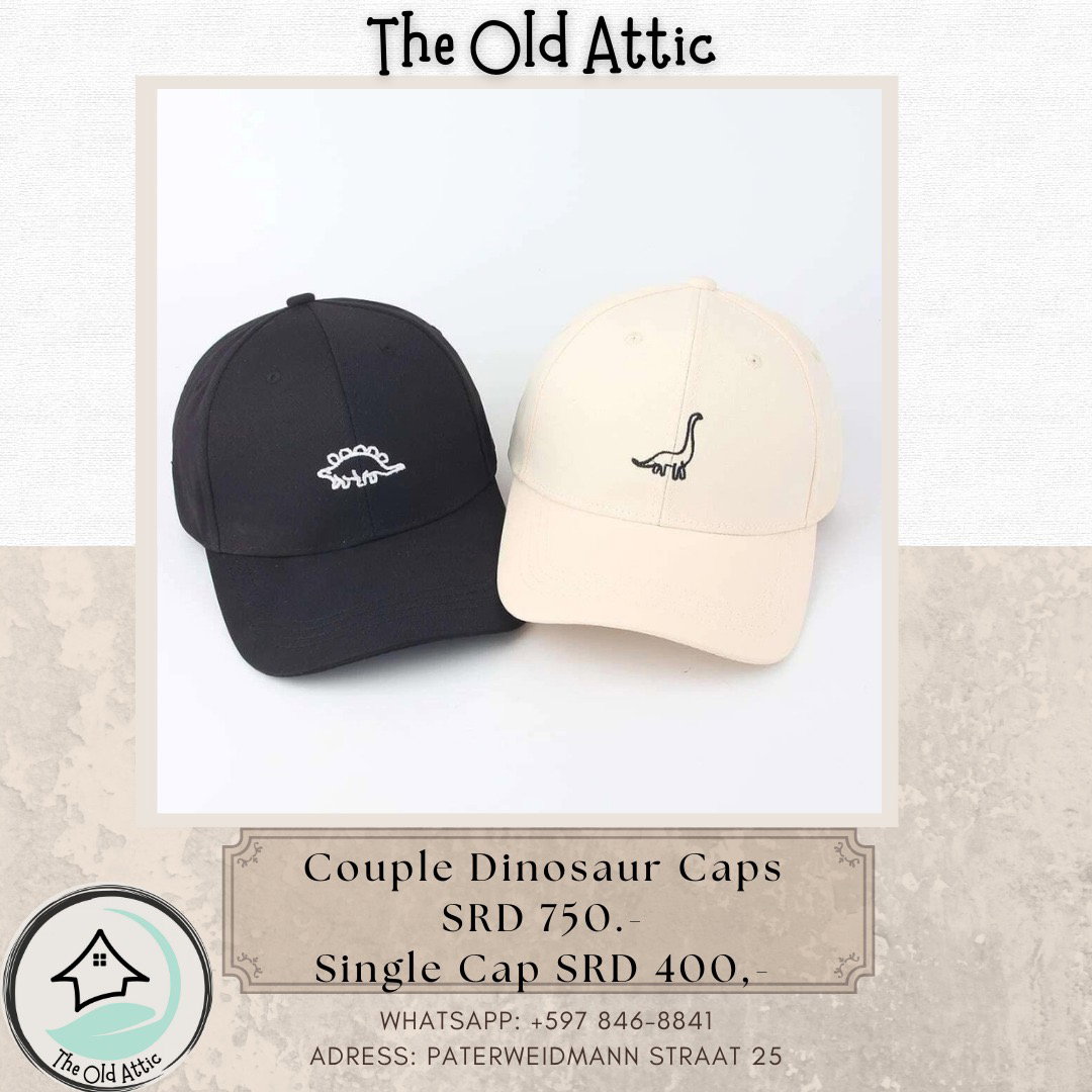 Couple dinosaur caps _0