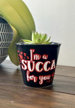 Valentine’s Succulent