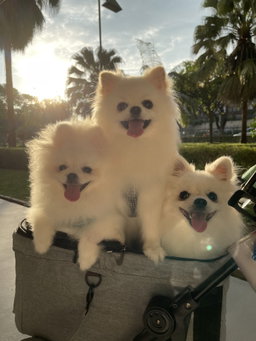 Day care