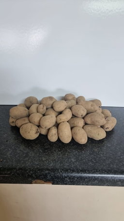 Potato Seed 25Kg Bag