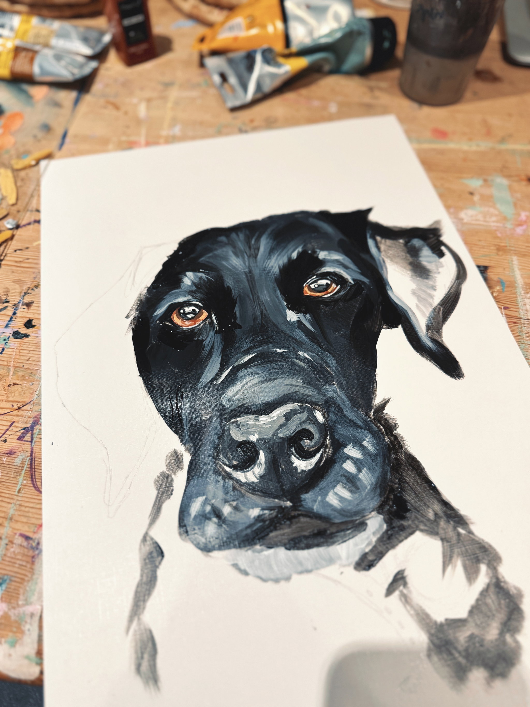 Mothers Day Pet Portrait _1