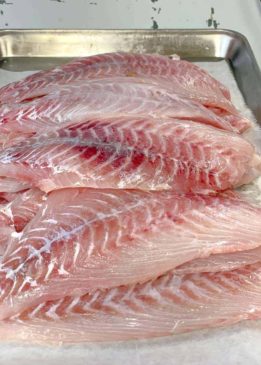 Mutton Snapper Fillet (2lb) (Individually Sealed) _0