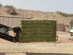 Rhodes grass Pakistan 320 kg رودس الباکستان 