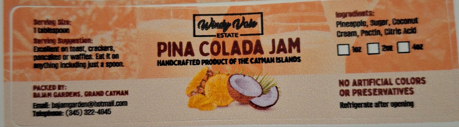 Pina Colada Jam_4