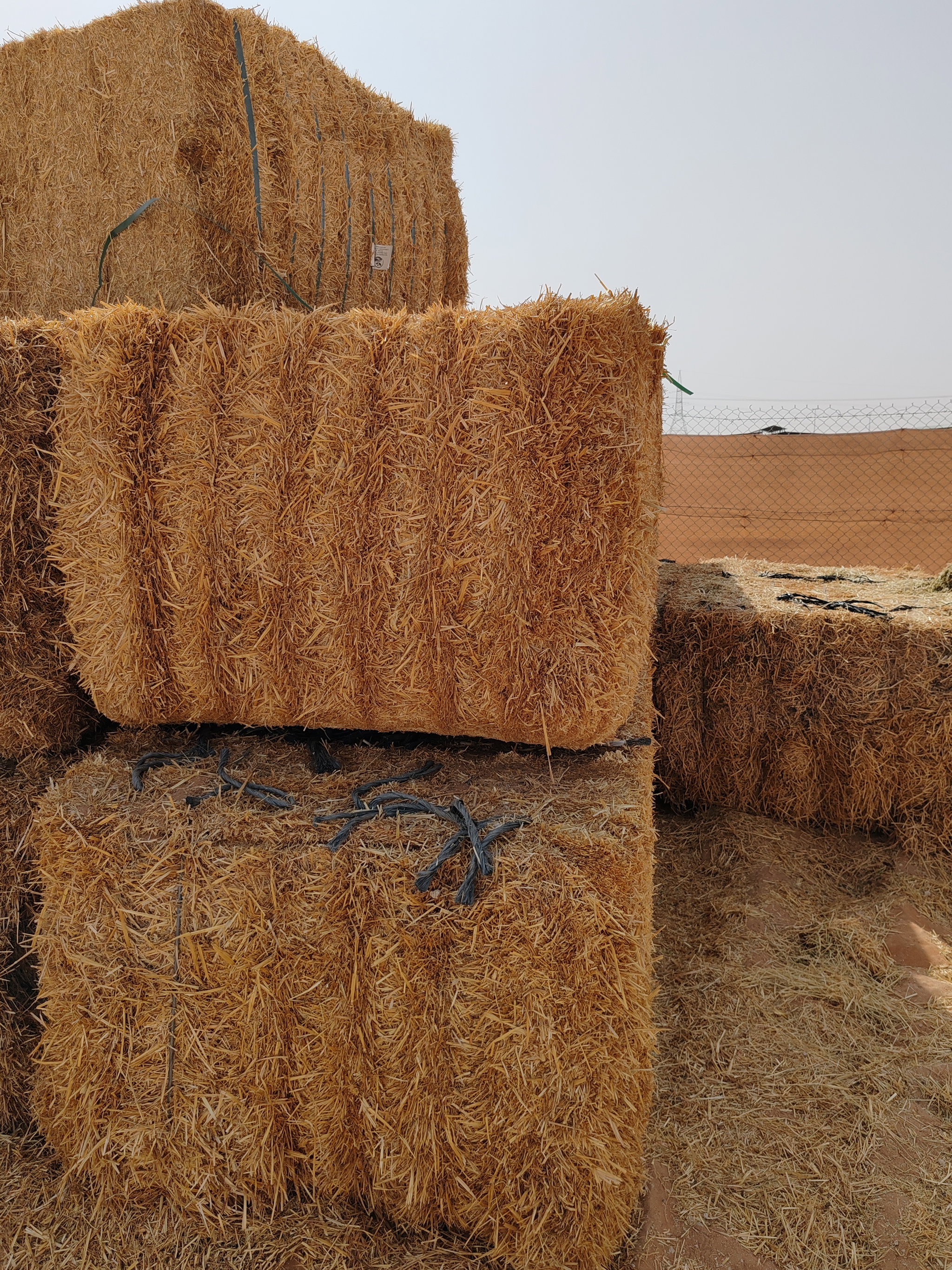 Weat Straw Pakistan 700 kg قش قمح الباکستان_3