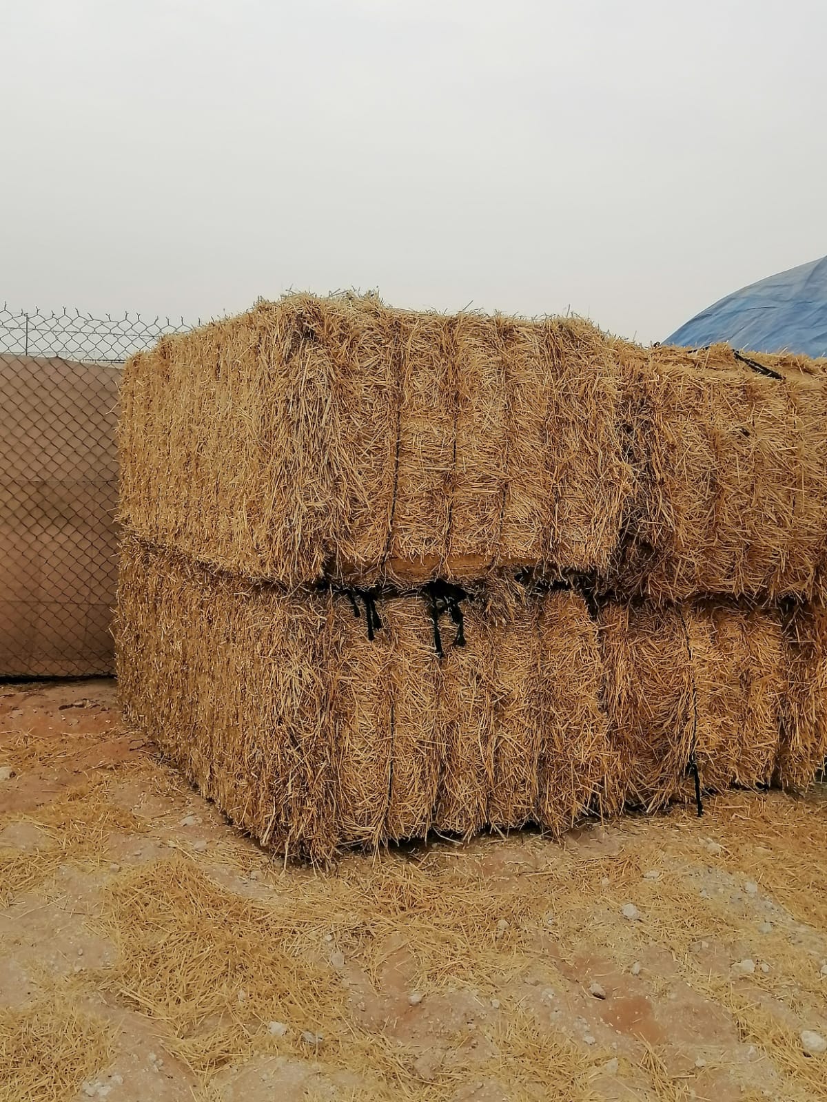 Weat Straw Pakistan 700 kg قش قمح الباکستان_1