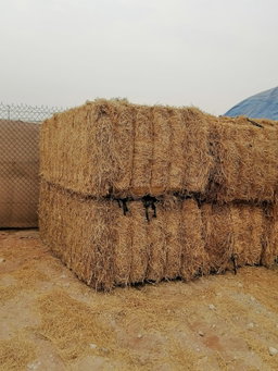 Weat Straw Pakistan 700 kg قش قمح الباکستان