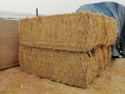 Weat Straw Pakistan 700 kg قش قمح الباکستان