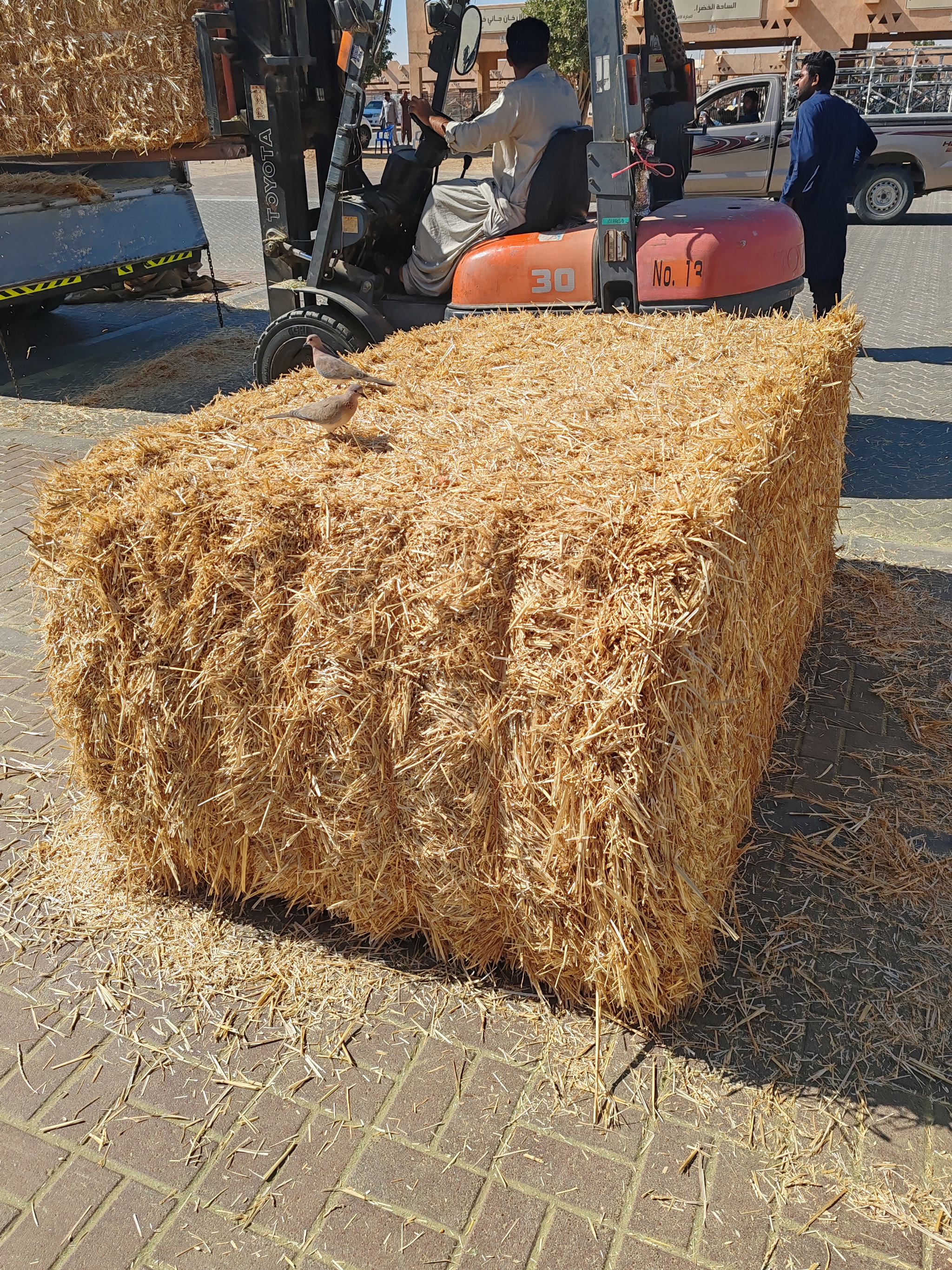 Straw Pakistan 350 kg قش قمعح الباکستان_2