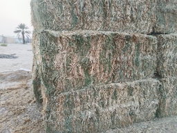 Straw alfa Alfa mix 500 kg جت تبن مخلوط 