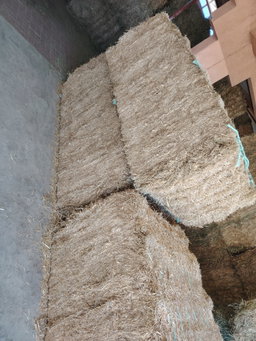 Ryegrass mix grass 750 kg الرای  جراس۔