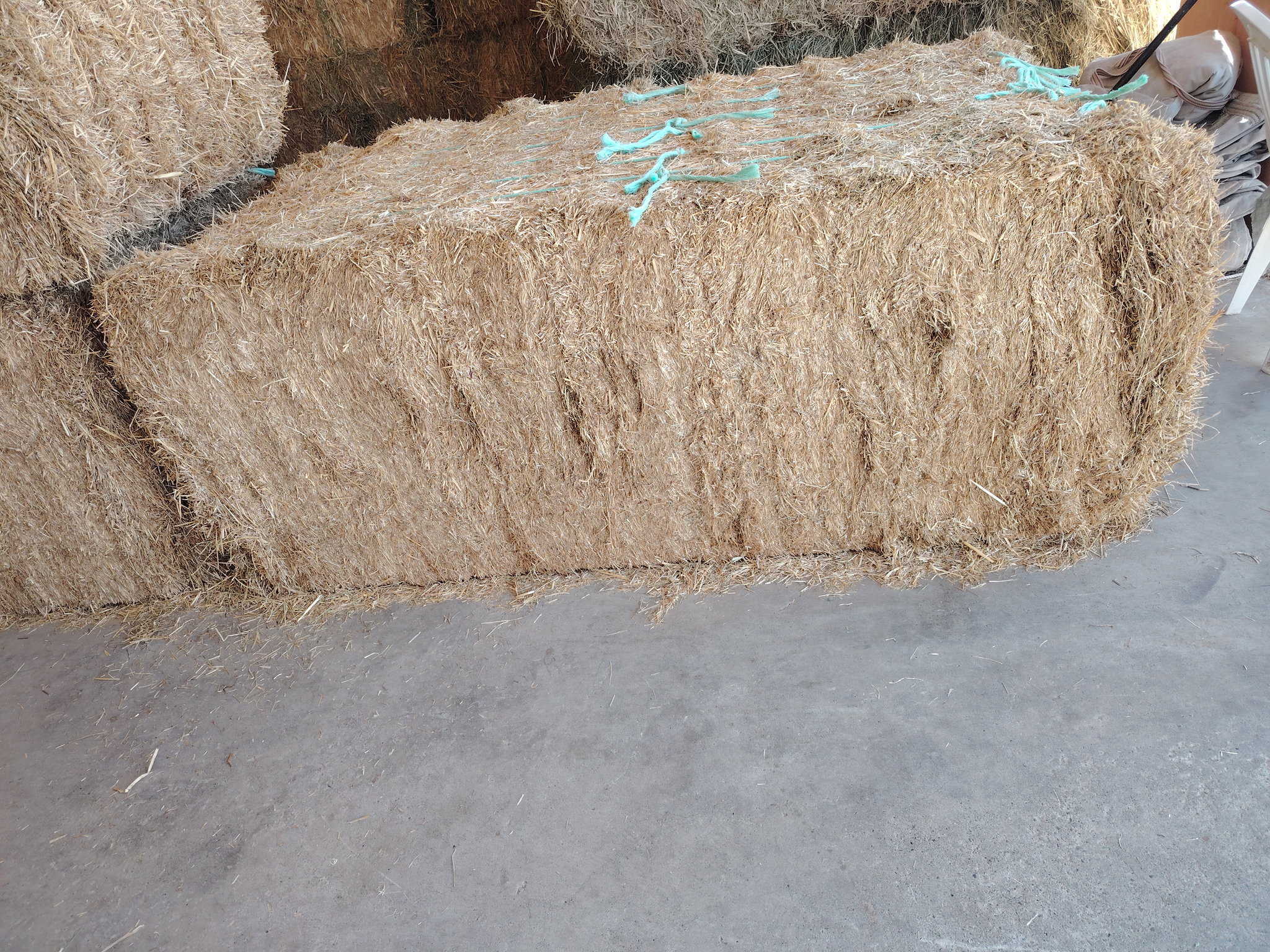 Ryegrass mix grass 750 kg الرای  جراس۔_2