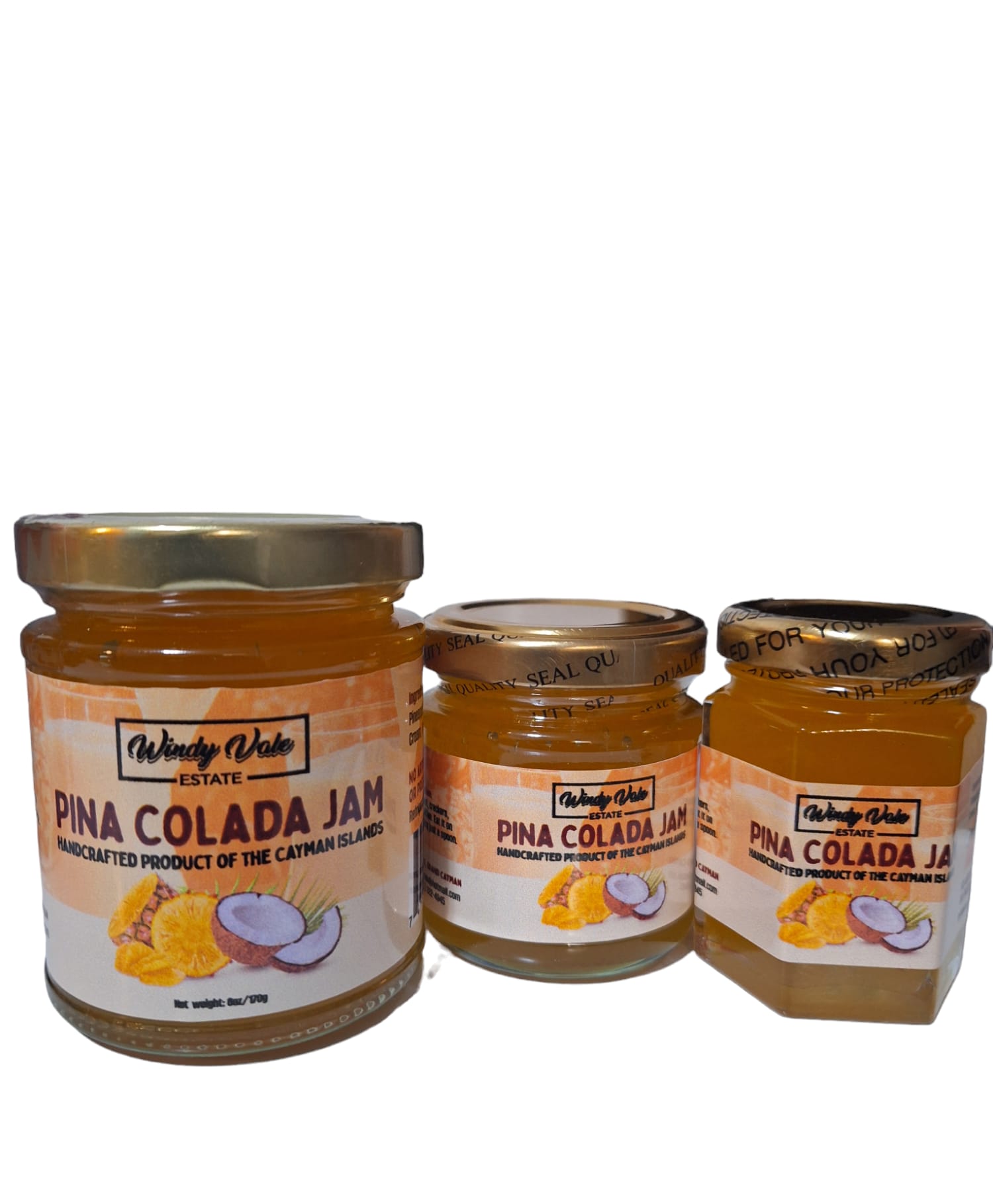 Pina Colada Jam_3