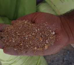 Mix Grain ممتاز سبوس