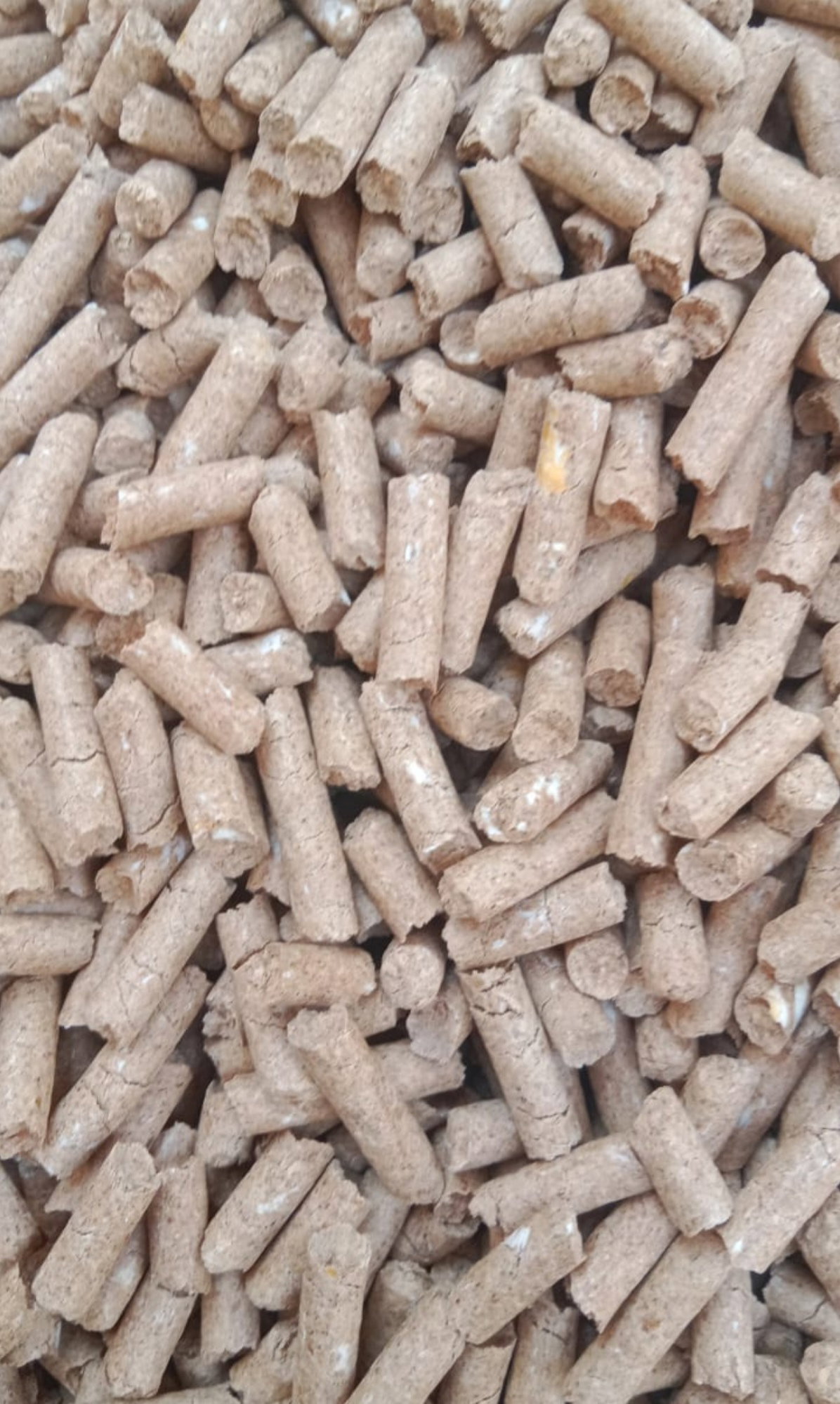 Agrivita Feeds  اعلاف أغرفیتا_1