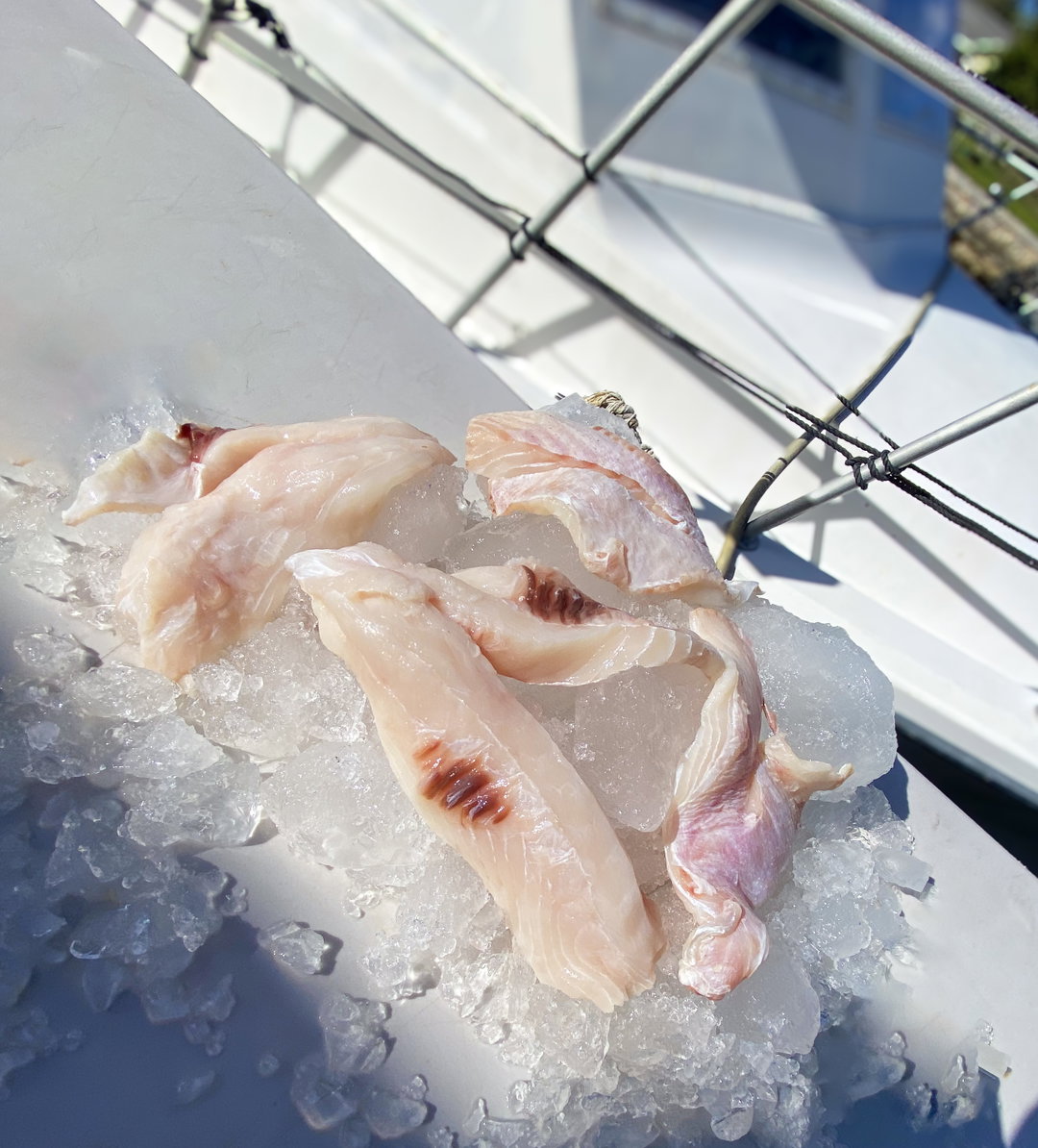 Turbot Fillet (4 lbs)