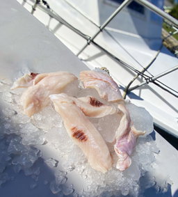 Fillet: Retail