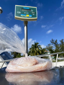 Turbot Fillet (4 lbs)