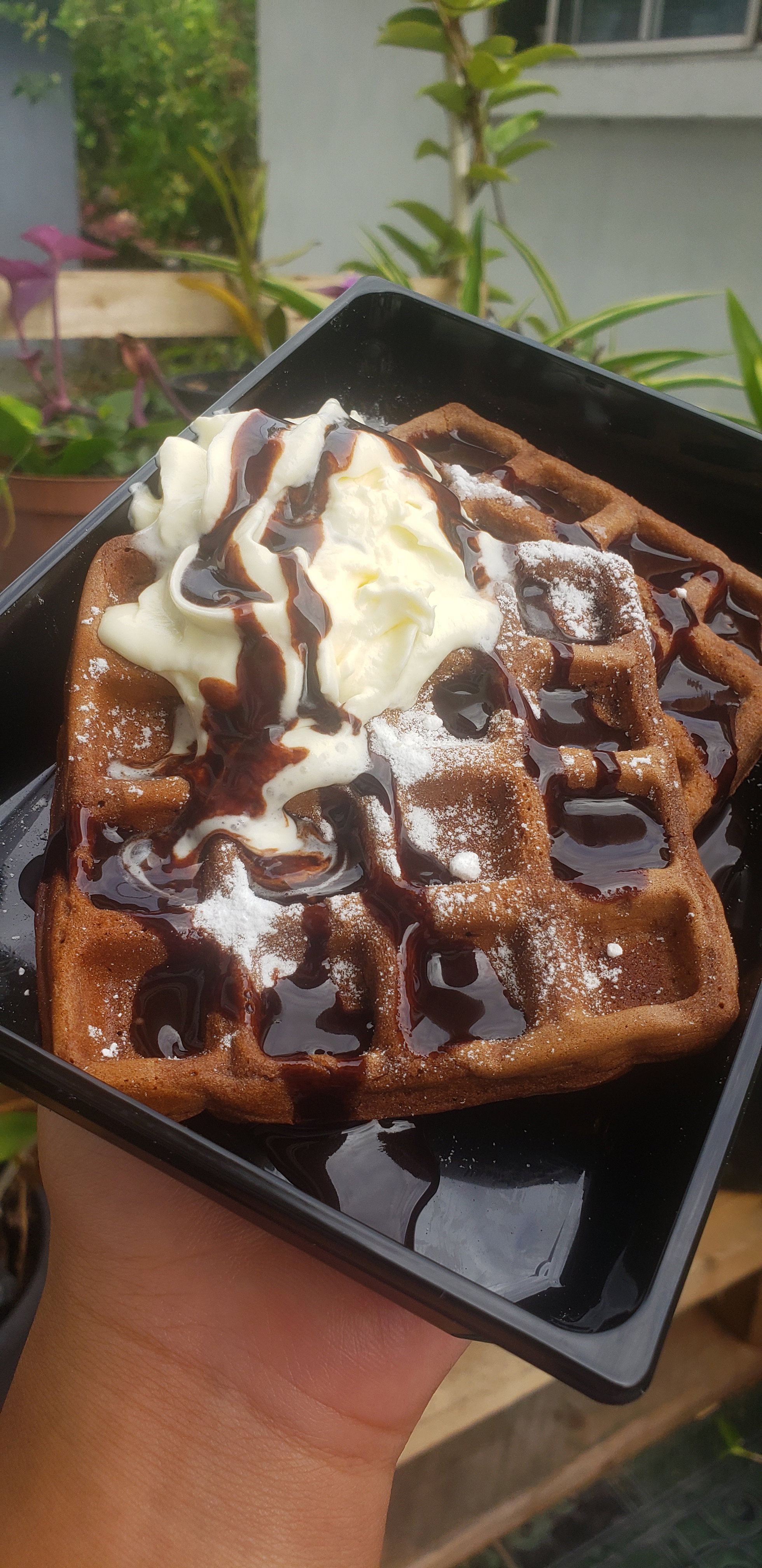 Plain Waffle _0