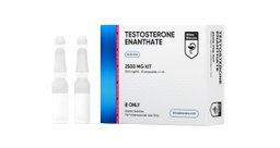 Testosterone enanthate Amps 1mlx10 250mg