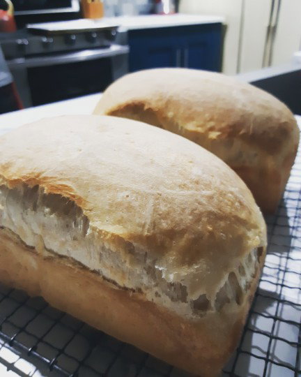 Wholewheat Loaf_0