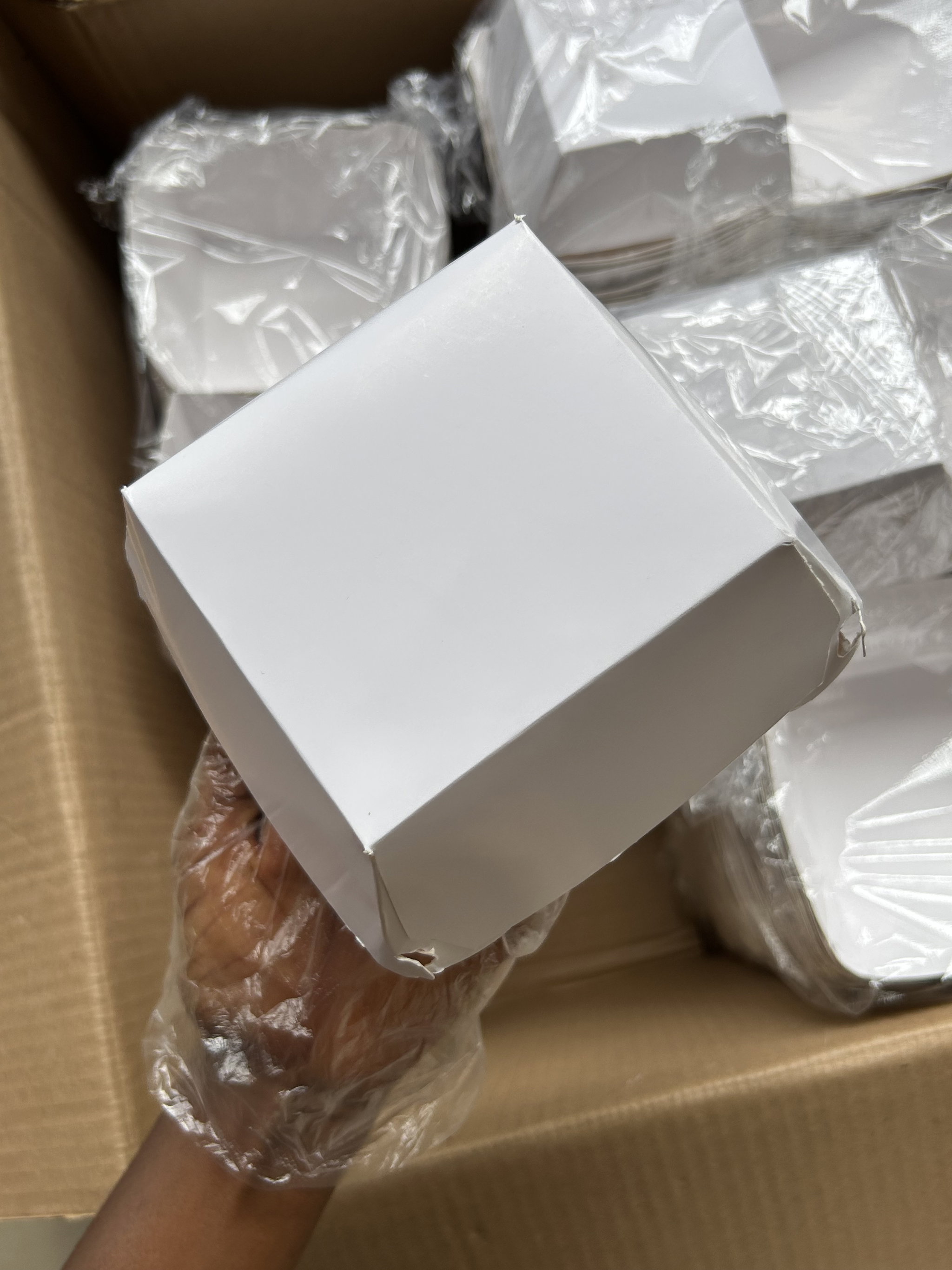CLAMSHELL BURGER BOXES - PLAIN WHITE _5