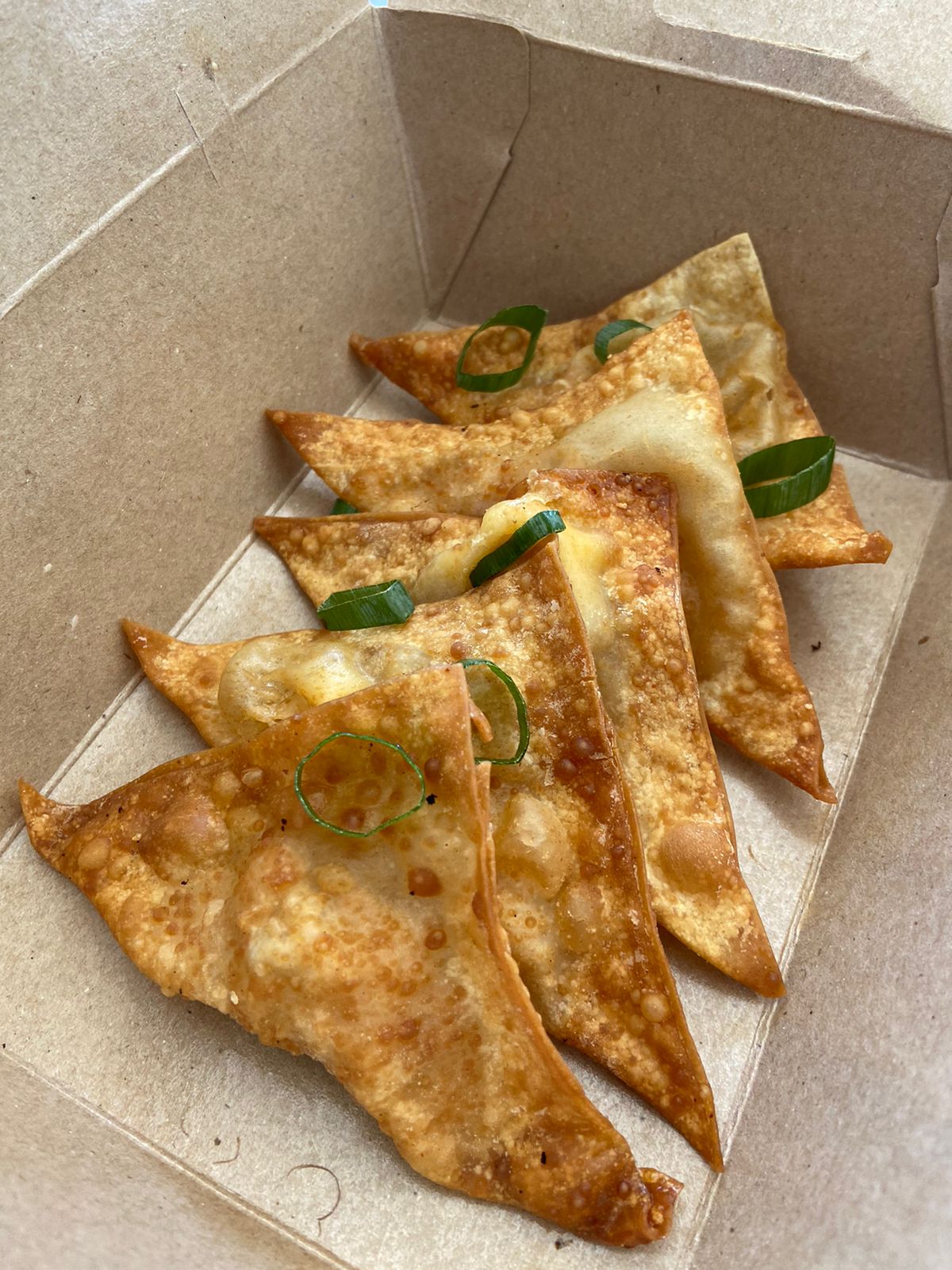 Fried Cheesy Chicken Wonton_0