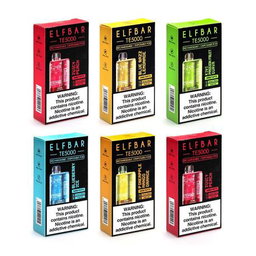 Elfbar TE5000 Rechargeable Disposable Vape Pod - Blueberry