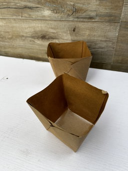 KRAFT PICNIC CUPS  