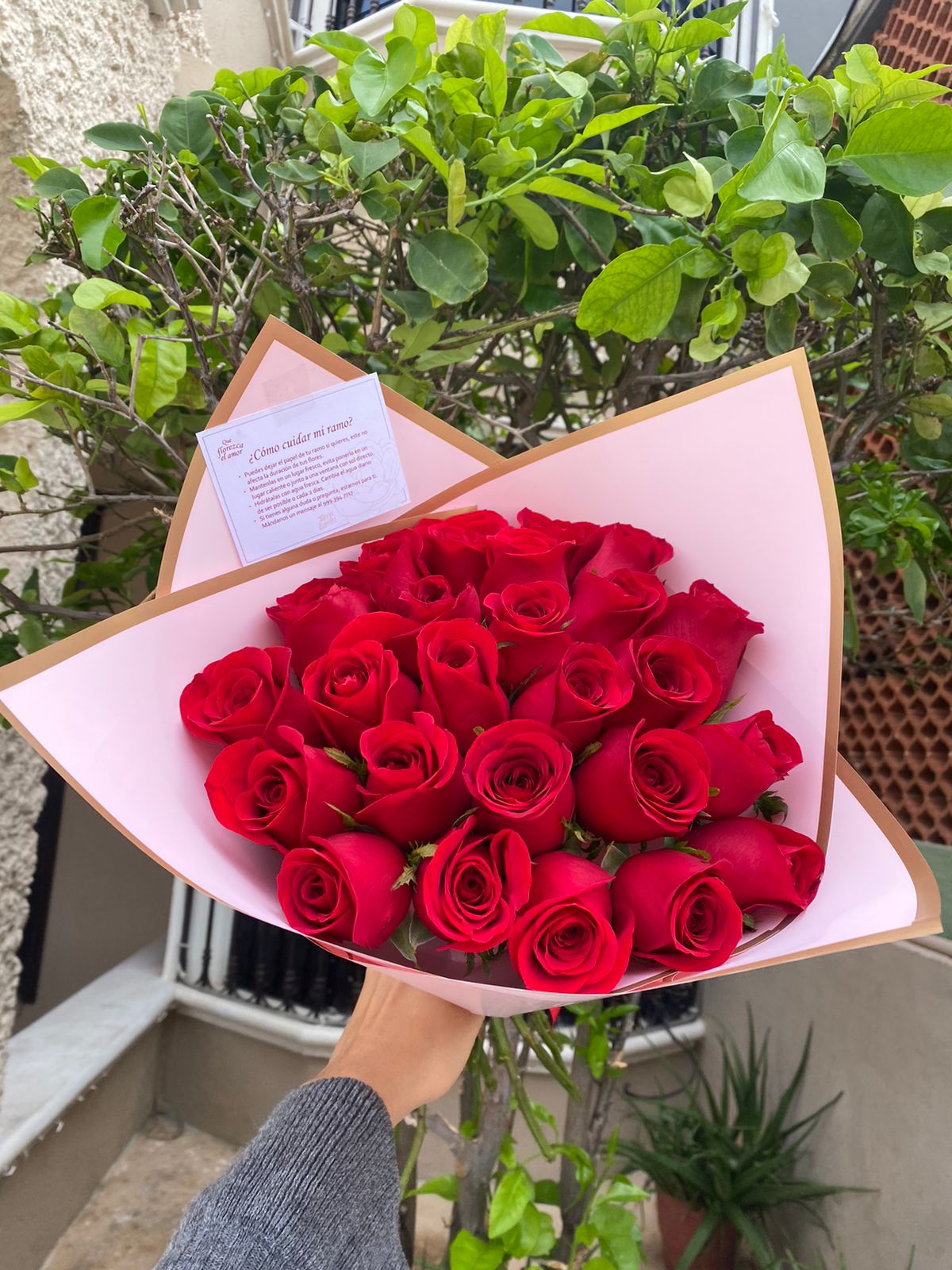 24 Rosas Clásicas_2