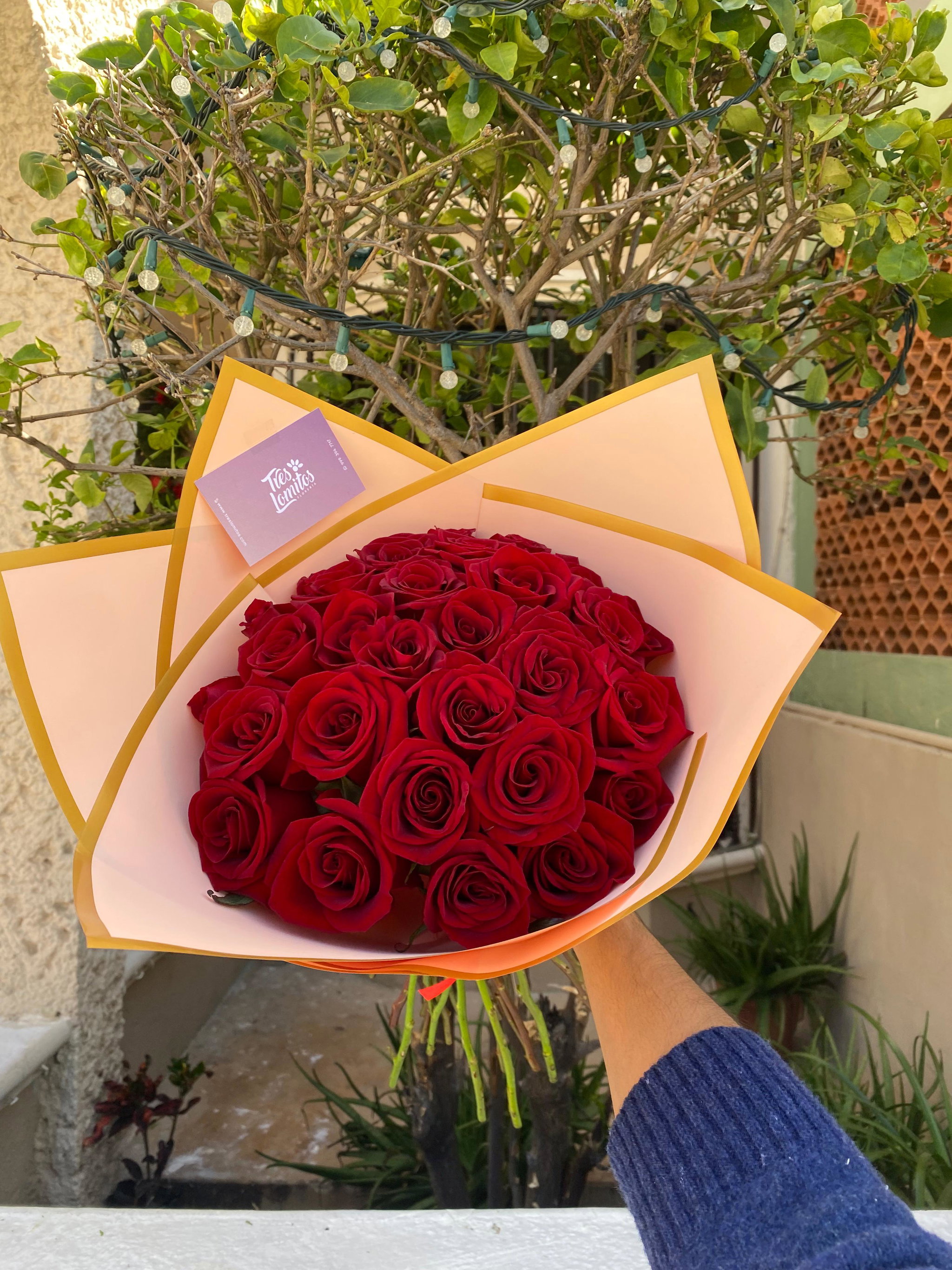 35 Rosas_1