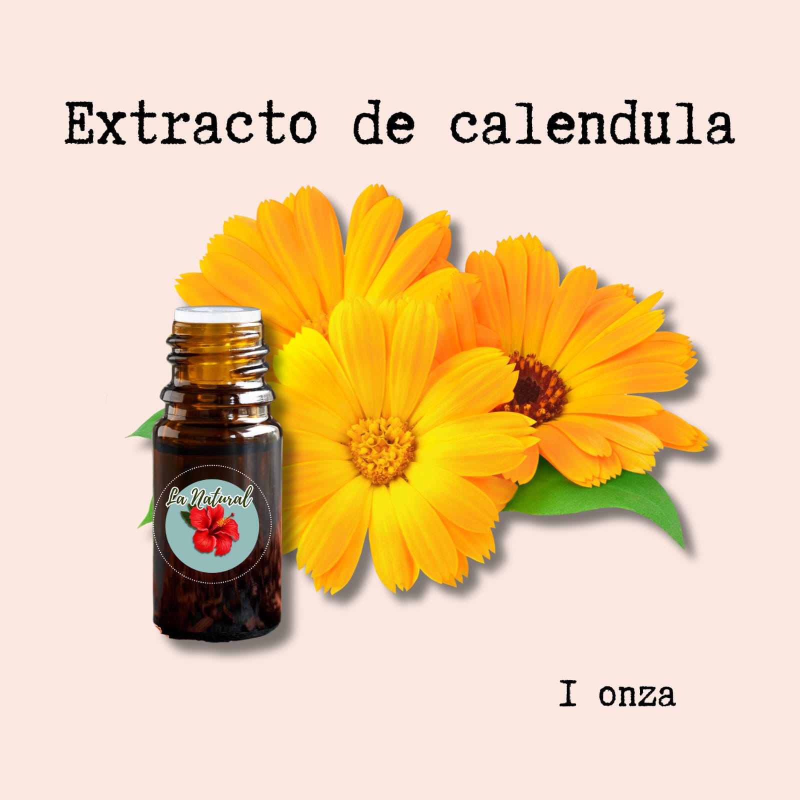 Calendula extracto botanico_0