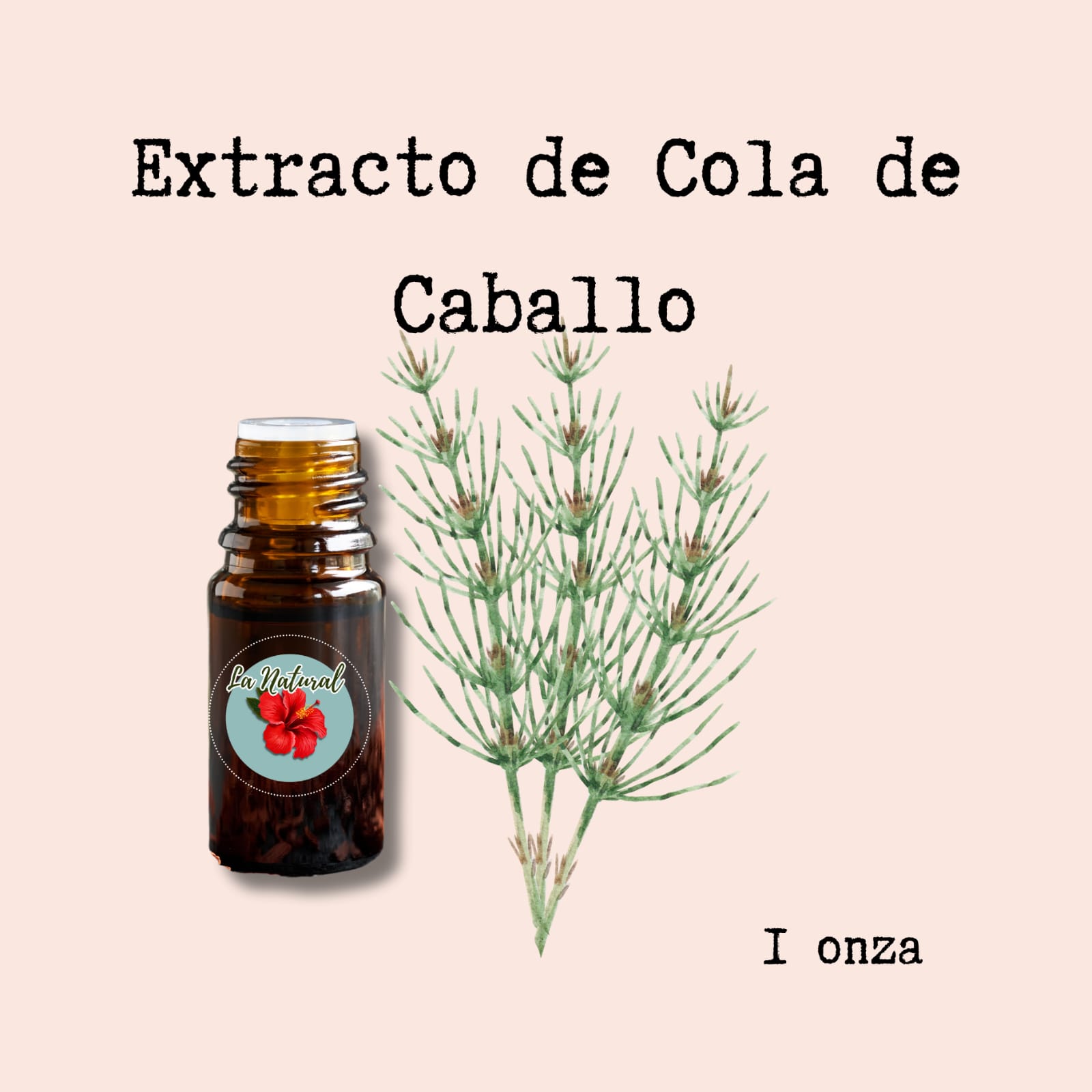 Cola de caballo Extracto_0