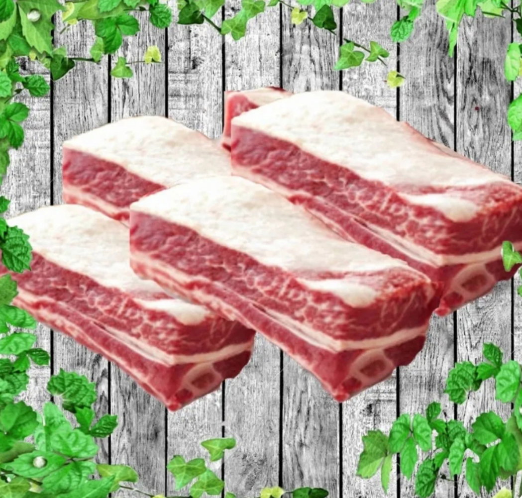 B- Rusuk Lembu