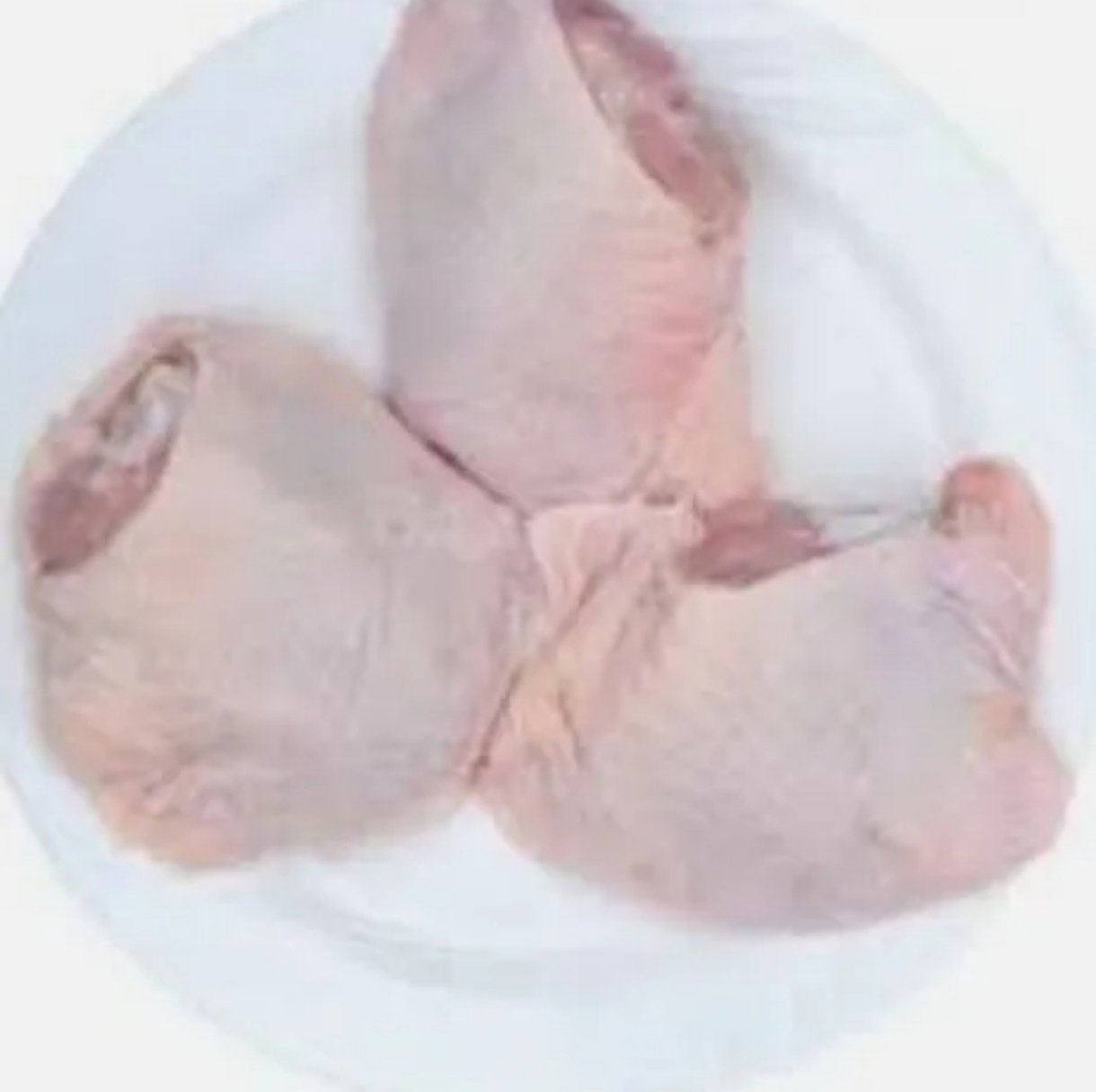 A- Ayam Punggung_0