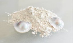 Concha nacar polvo