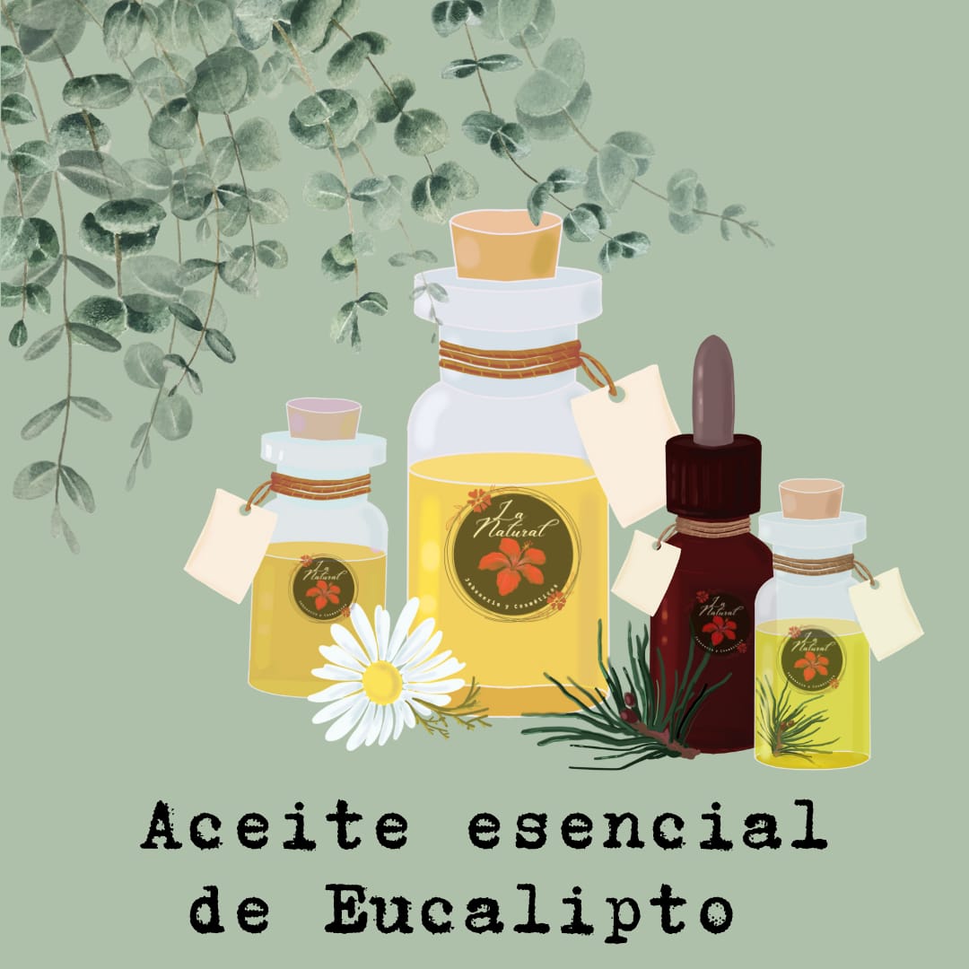 Eucalipto aceite esencial 30 ML _0