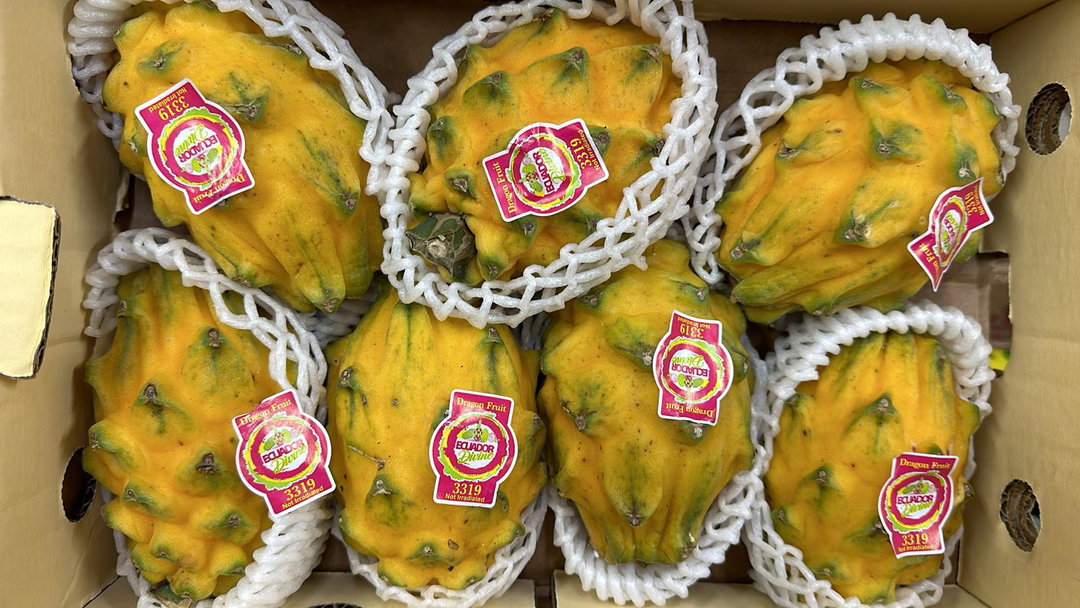 Yellow Dragon Fruit Ecuador [7-8pc] 【黄龙珠果】