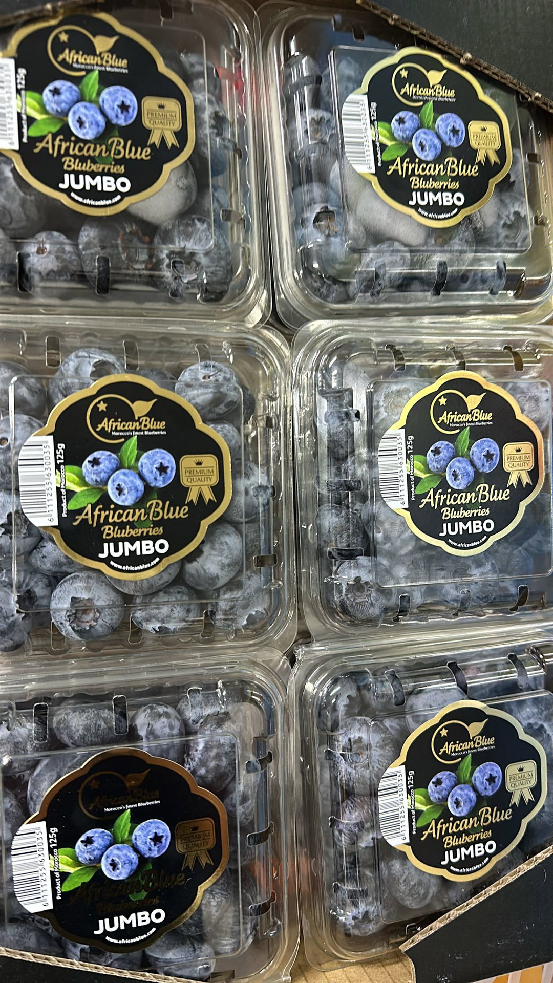 African blue jumbo blueberry 125g 【非洲大蓝莓】