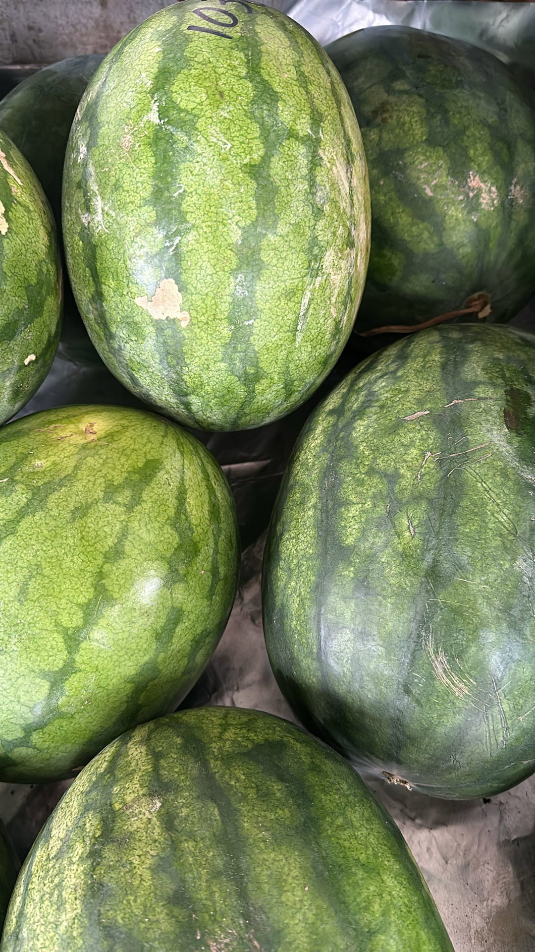 Malaysia red seedless watermelon 5kg per Pc 【无籽红西瓜🍉】