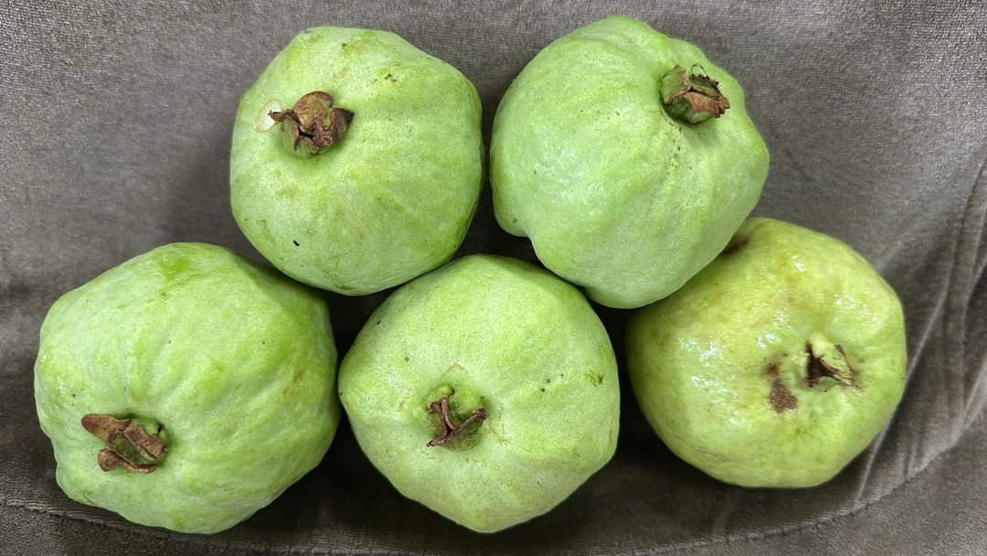 Thailand seedless guava 1 kg 【无籽泰国番石榴🇹🇭】