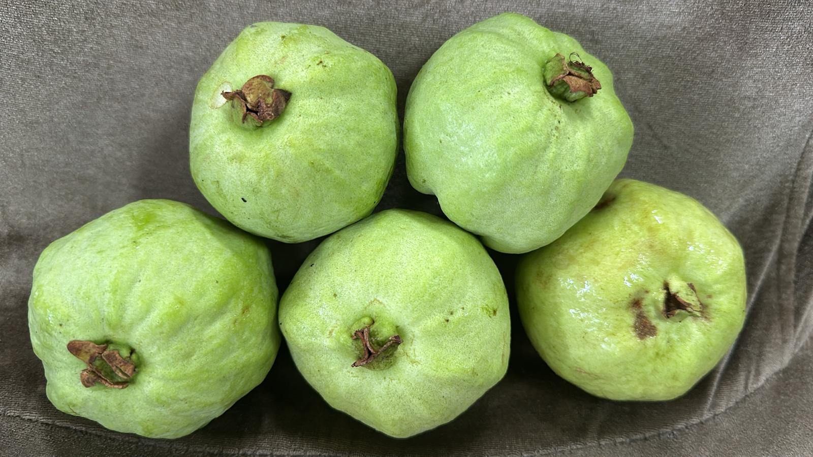 Thailand seedless guava 1 kg 【无籽泰国番石榴🇹🇭】_0