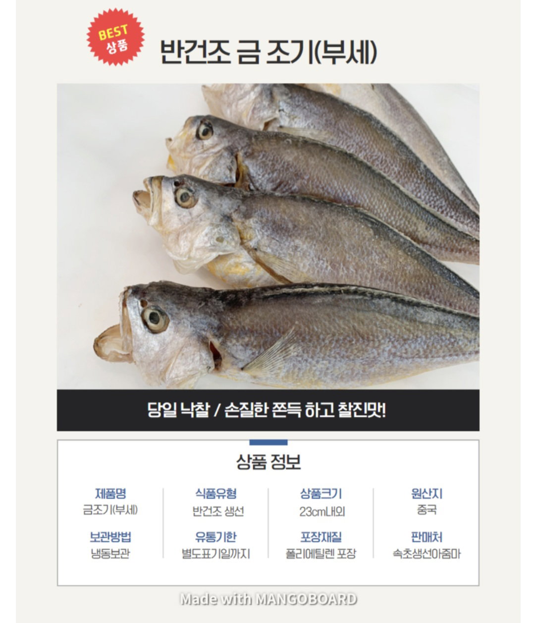 속초 금조기/1마리_2